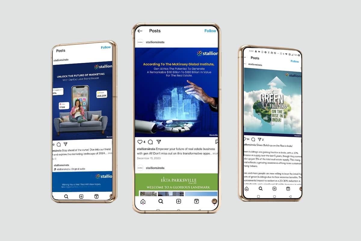 Stallions Social Post By Brandniti5 Stallions Social Post By Brandniti5