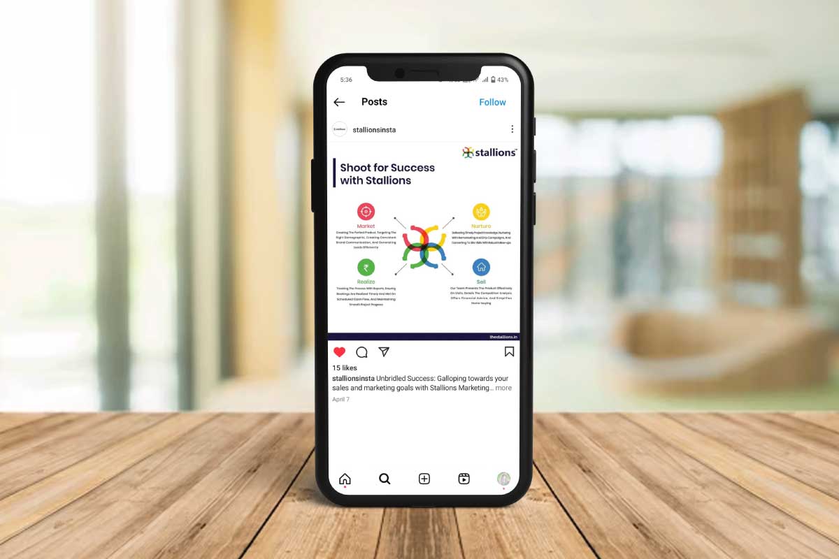 Stallions Social Post By Brandniti5 Stallions Social Post By Brandniti5