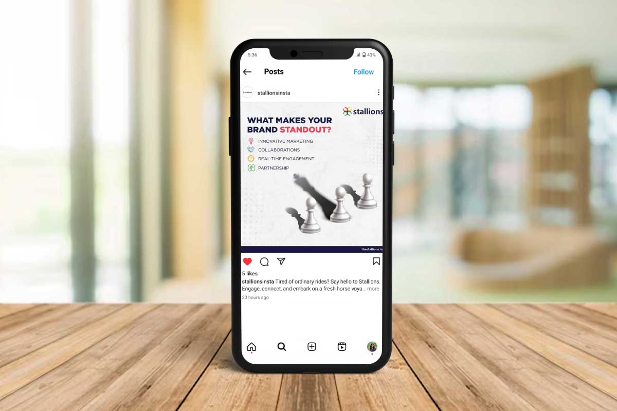 Stallions Social Post By Brandniti5 Stallions Social Post By Brandniti5